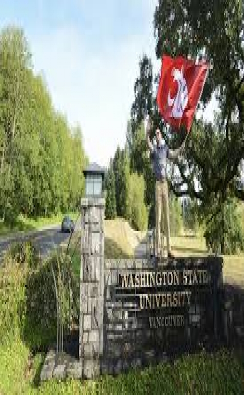 MSM Group - Washington State University